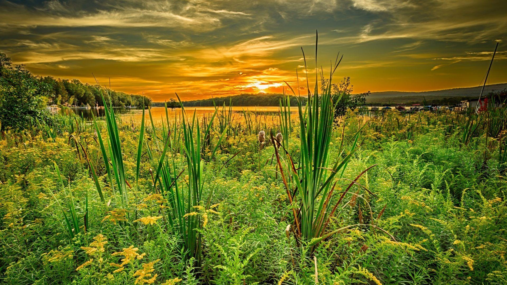 1920x1080 Pennsylvania Tag wallpaper: Water Eagle Bald Forest State Rocks, Desktop