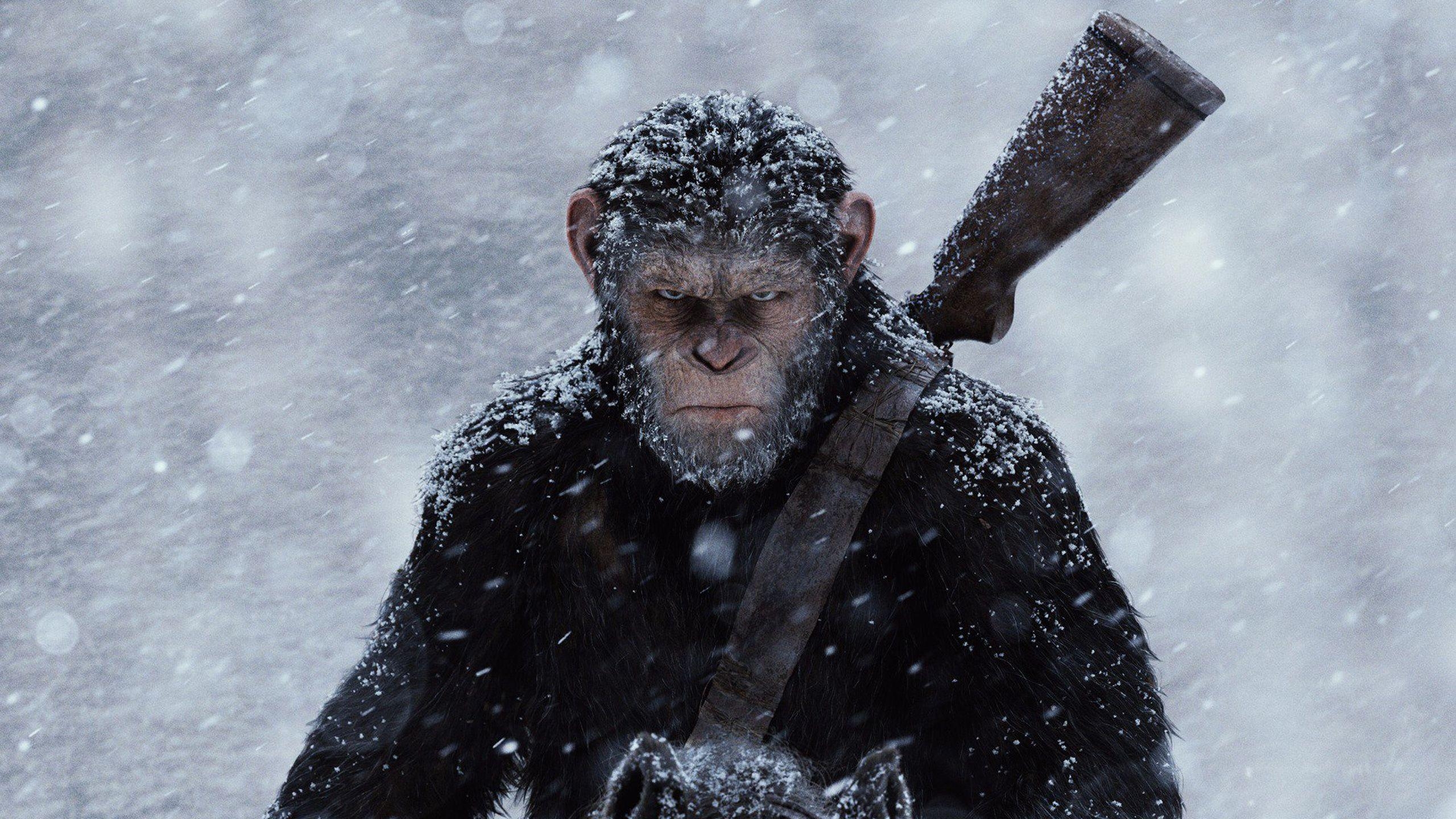 2560x1440 War For The Planet Of The Apes HD Wallpaper. Background, Desktop