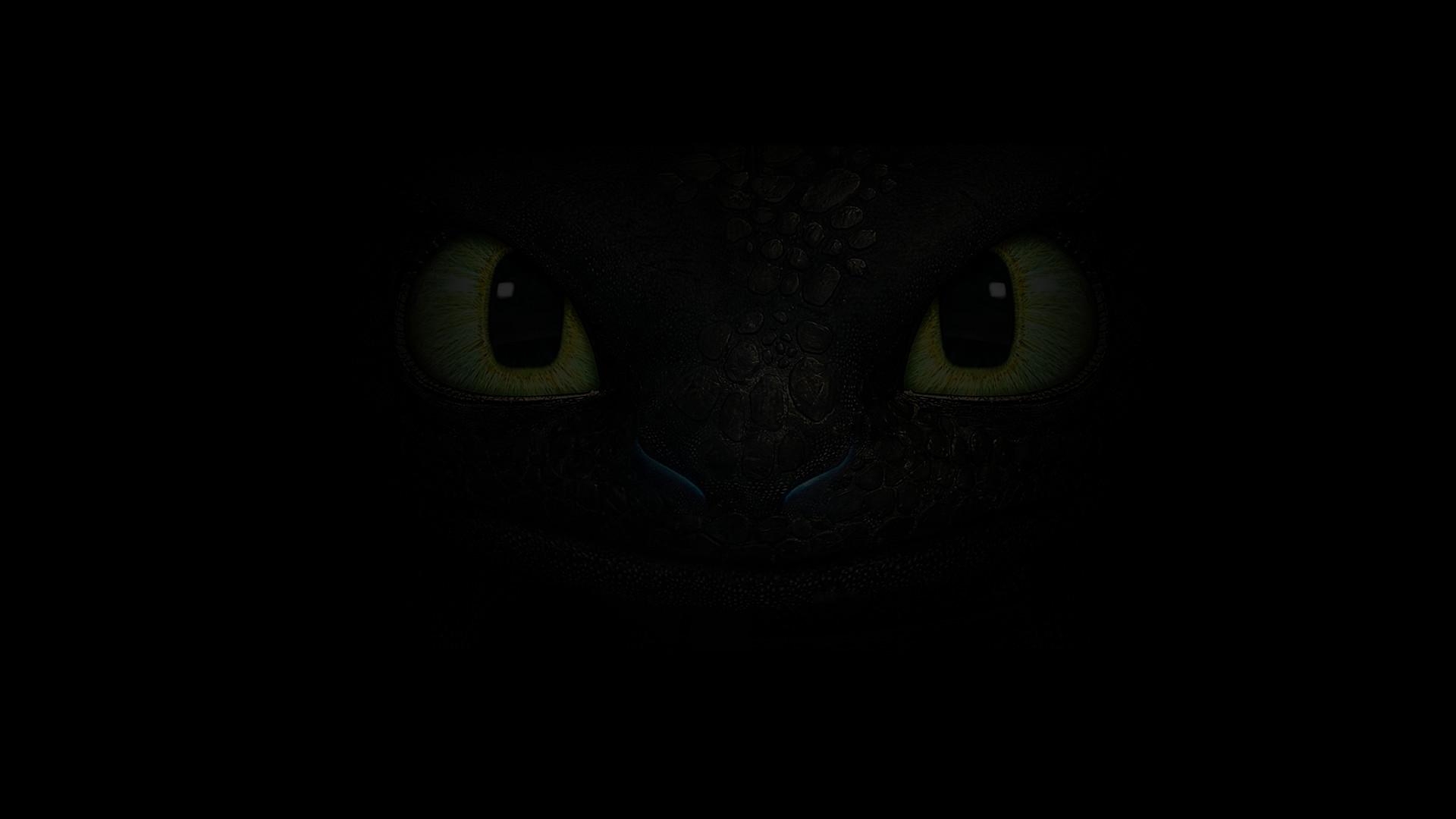 1920x1080 Toothless Wallpaper HD, Desktop