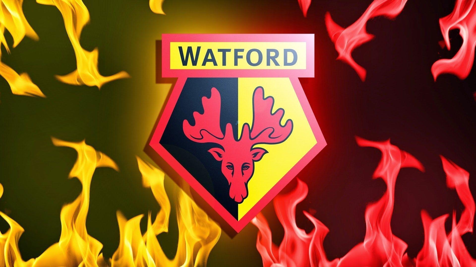 1920x1080 watford wallpaper HD, Desktop