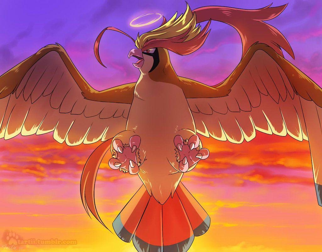 1030x810 Mega Pidgeot, Desktop