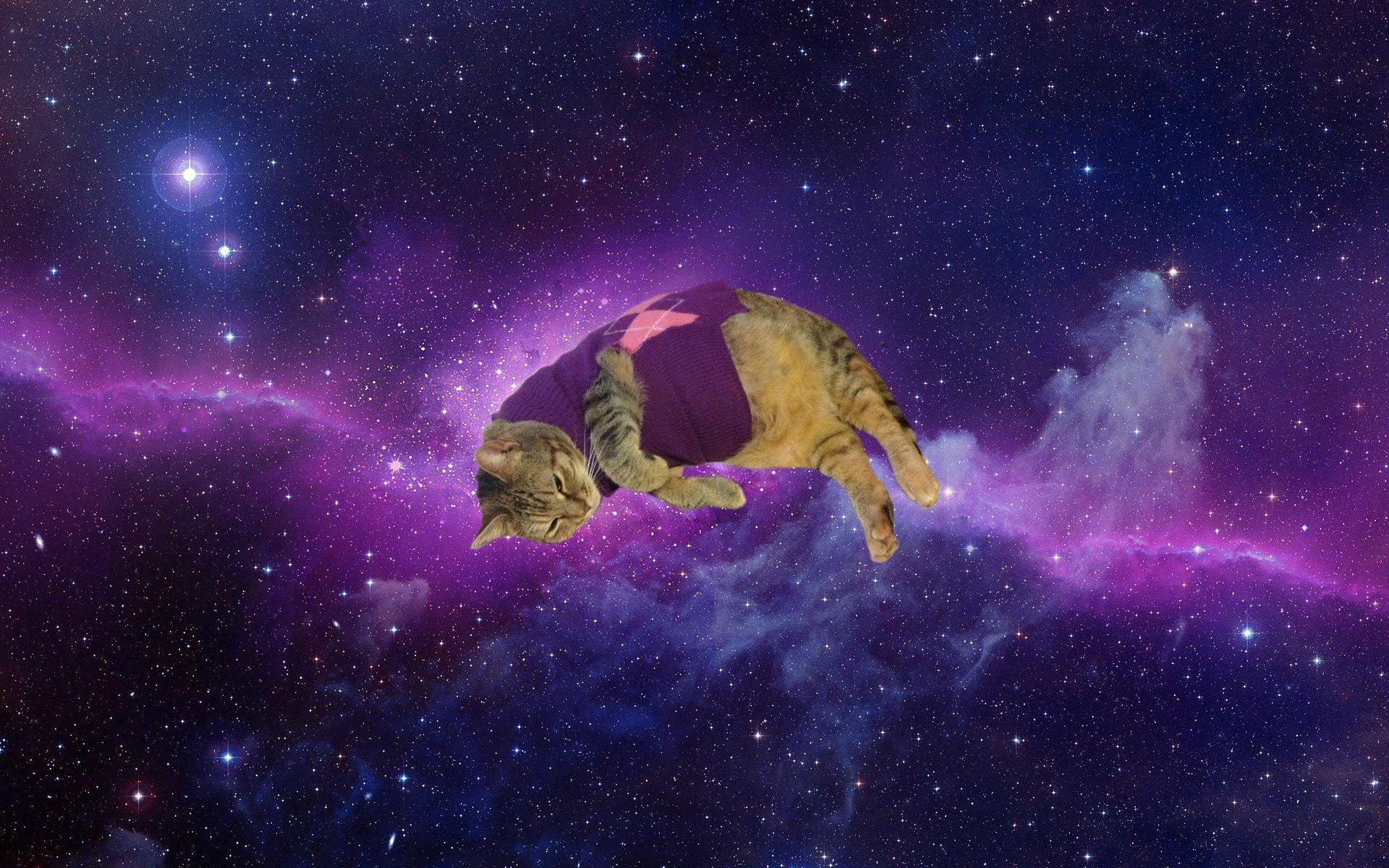 1920x1200 Space Cat Wallpaper, Desktop