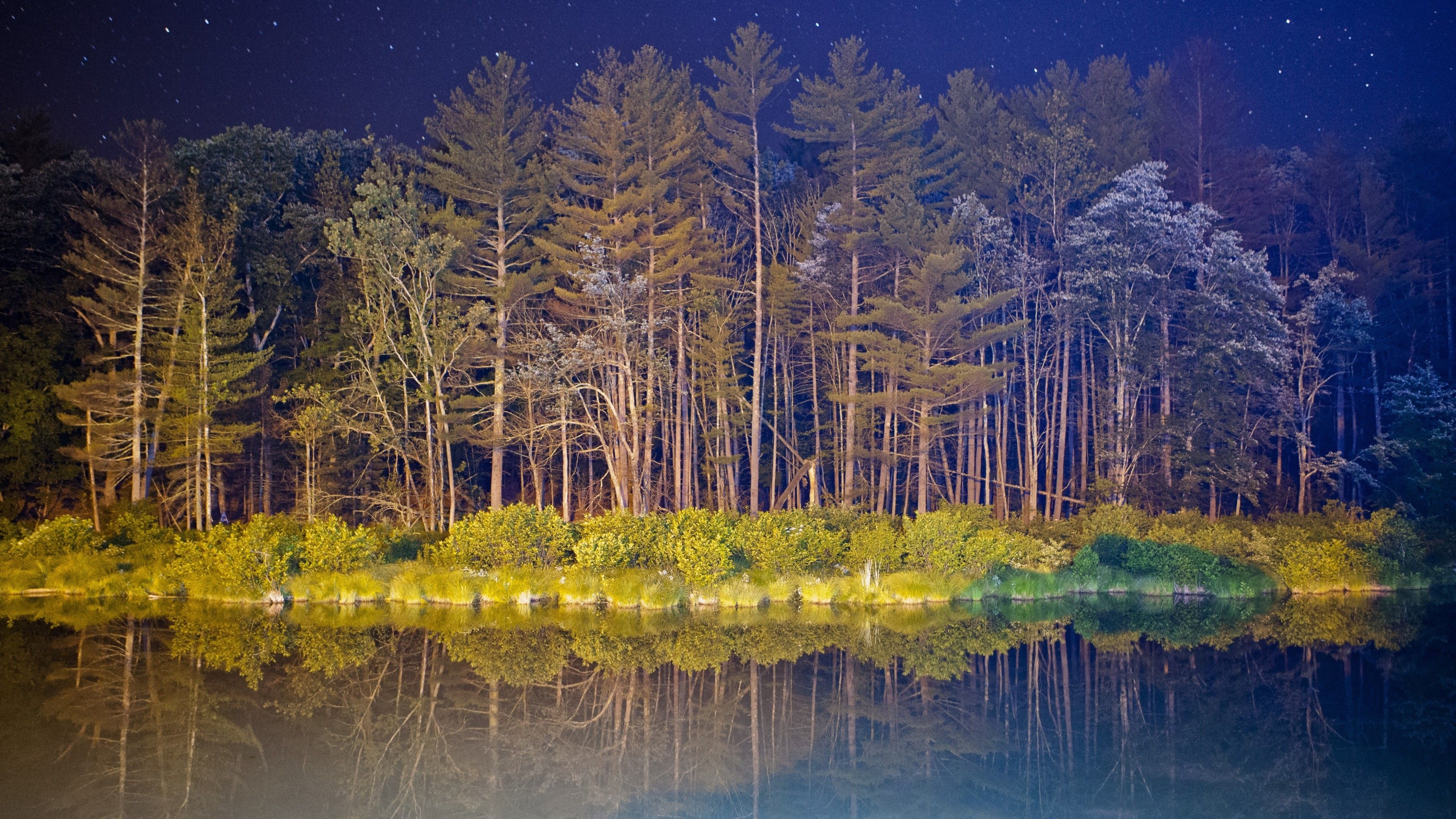 3840x2160 Wallpaper android, 5k, 4k wallpaper, forest, landscape, night, pond, Nature, Desktop