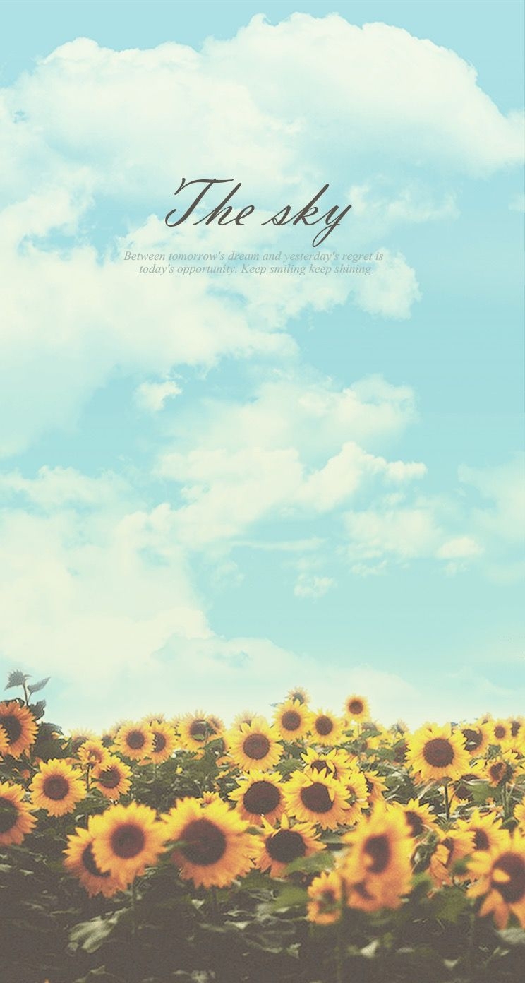 750x1400 Sunflower Sky Keep Shining iPhone 6 Plus HD Wallpaper HD, Phone