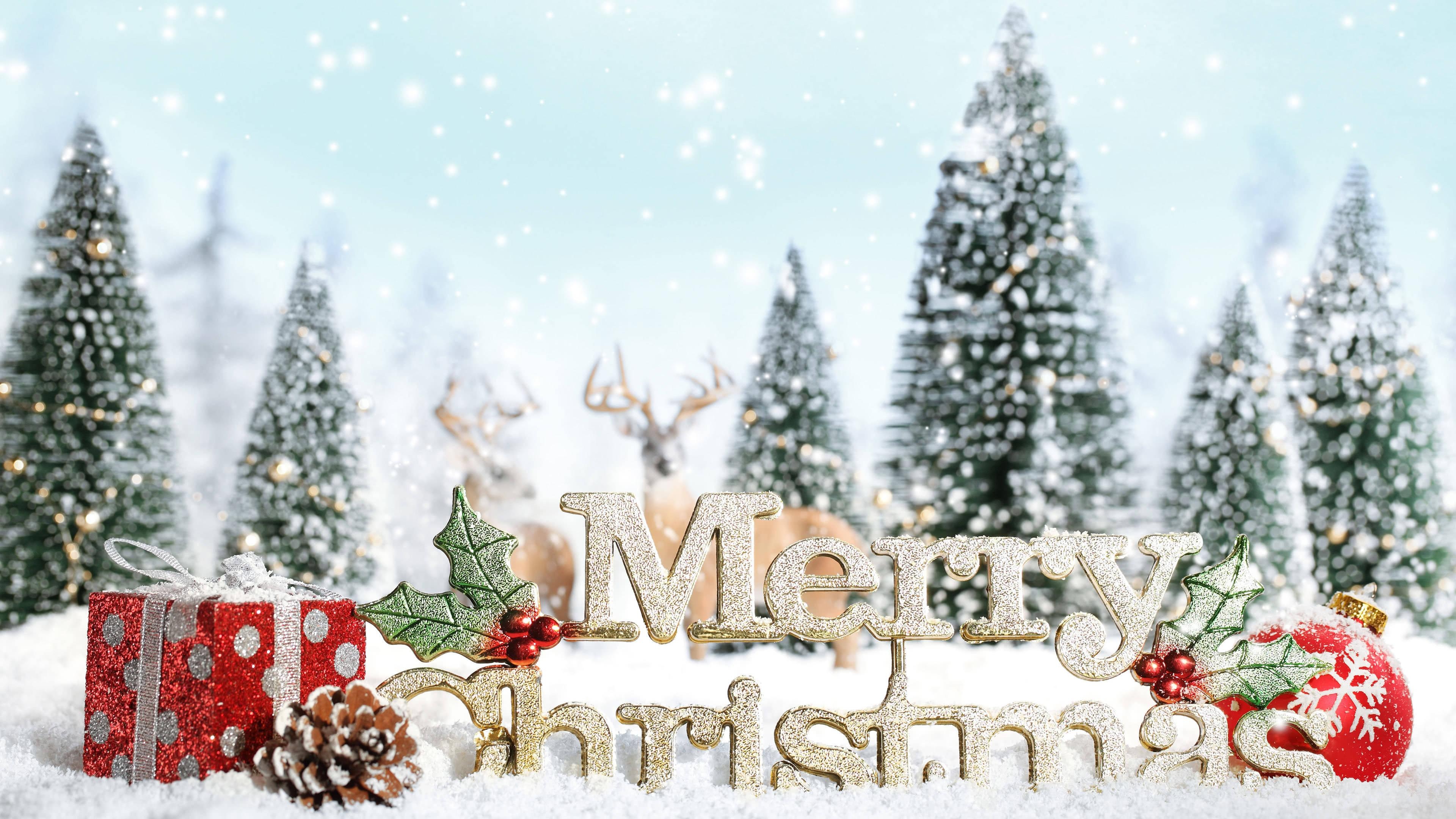 3840x2160 Merry Christmas Text UHD 4K Wallpaper, Desktop