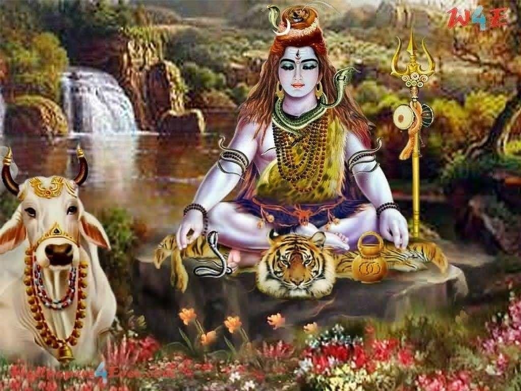 1030x770 Wallpaper Home Shankar Bhagwan Wallpaper Mahadev Widescreen, Desktop