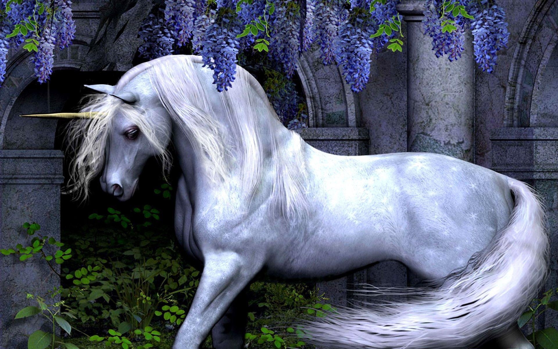 1920x1200 Unicorn Wallpaper High Definition Quality Widescreen PX, Desktop