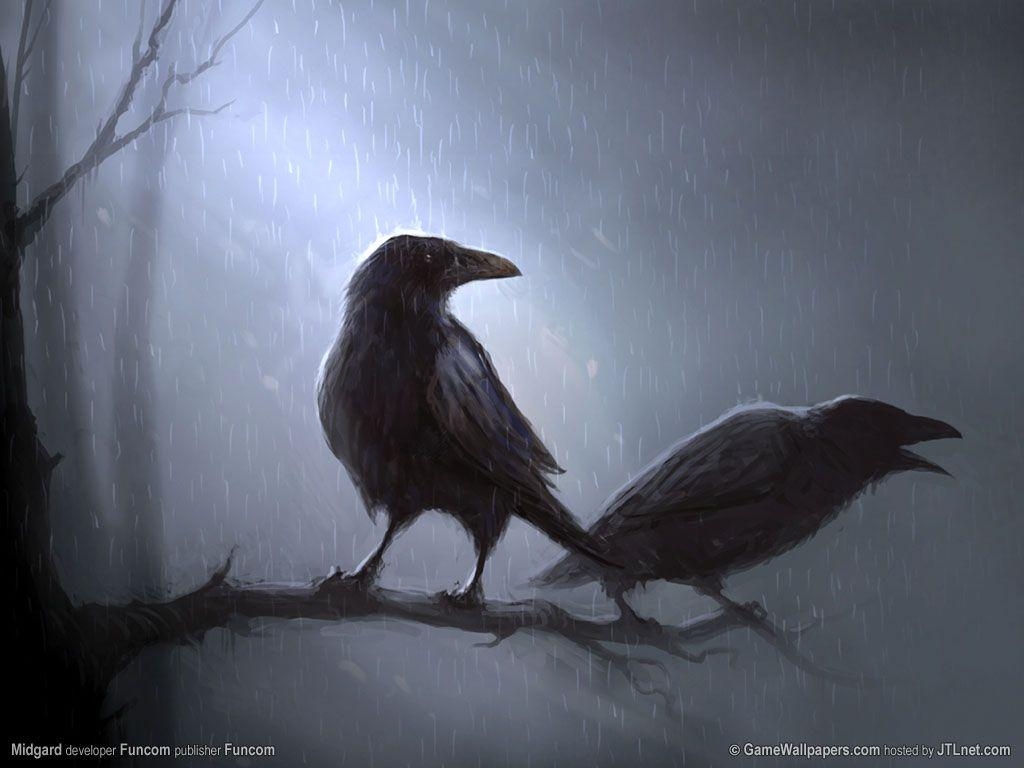 1030x770 Raven desktop wallpaper, Desktop