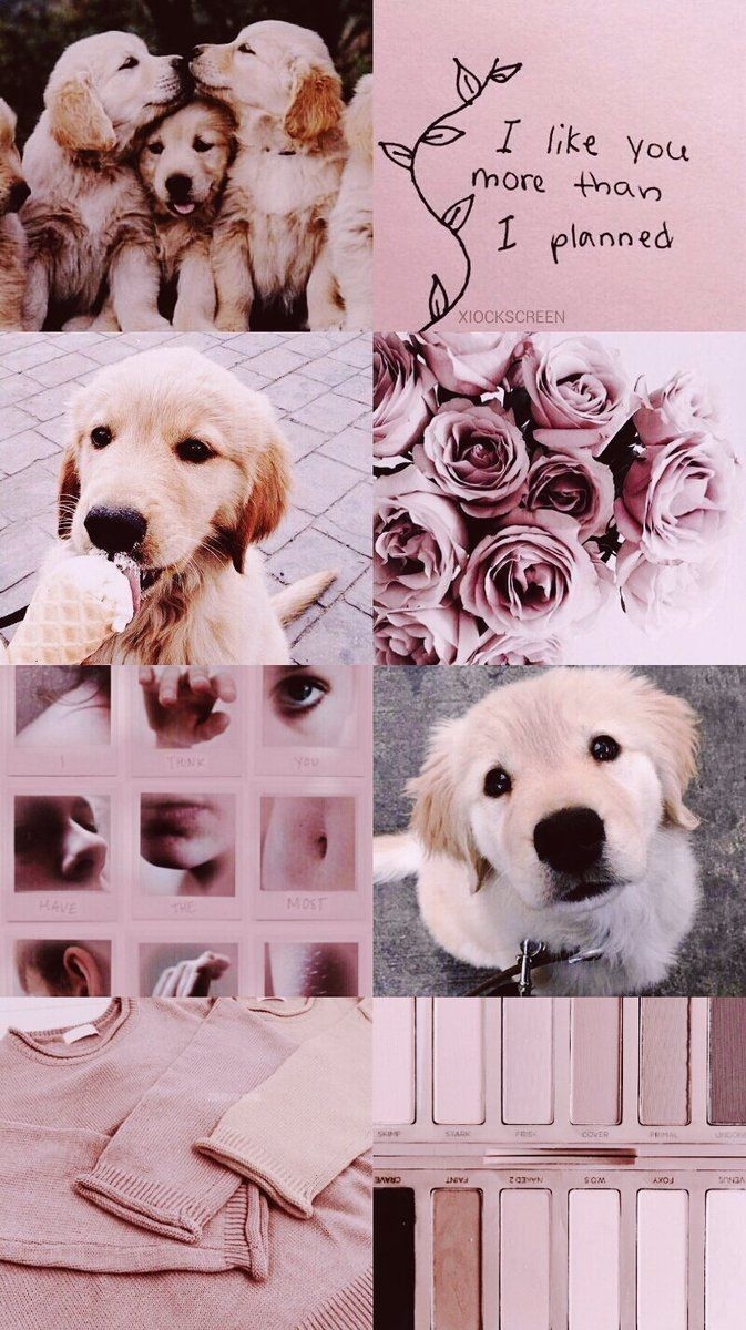 680x1200 A e s t h e t i c ♡ D o g s #pink #animals #dogs #collage, Phone