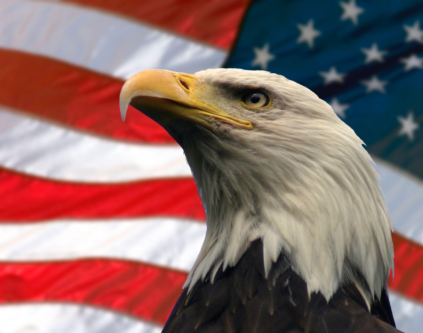 1800x1420 Computer American Eagle Wallpaper, Desktop Background 600x360px Id, Desktop