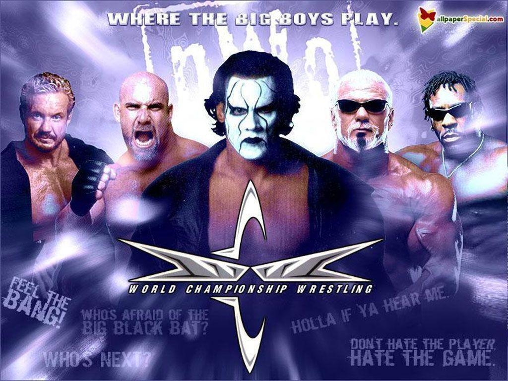 1030x770 Wcw&;s Superstars Stinger Diamond Page Poppa wallpaper #, Desktop