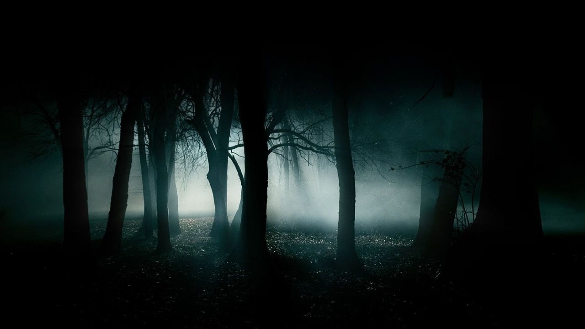 1920x1080 Horror Background HD, Desktop