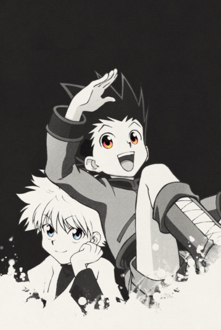 740x1090 Killua And Gon X Hunter iPhone, Phone