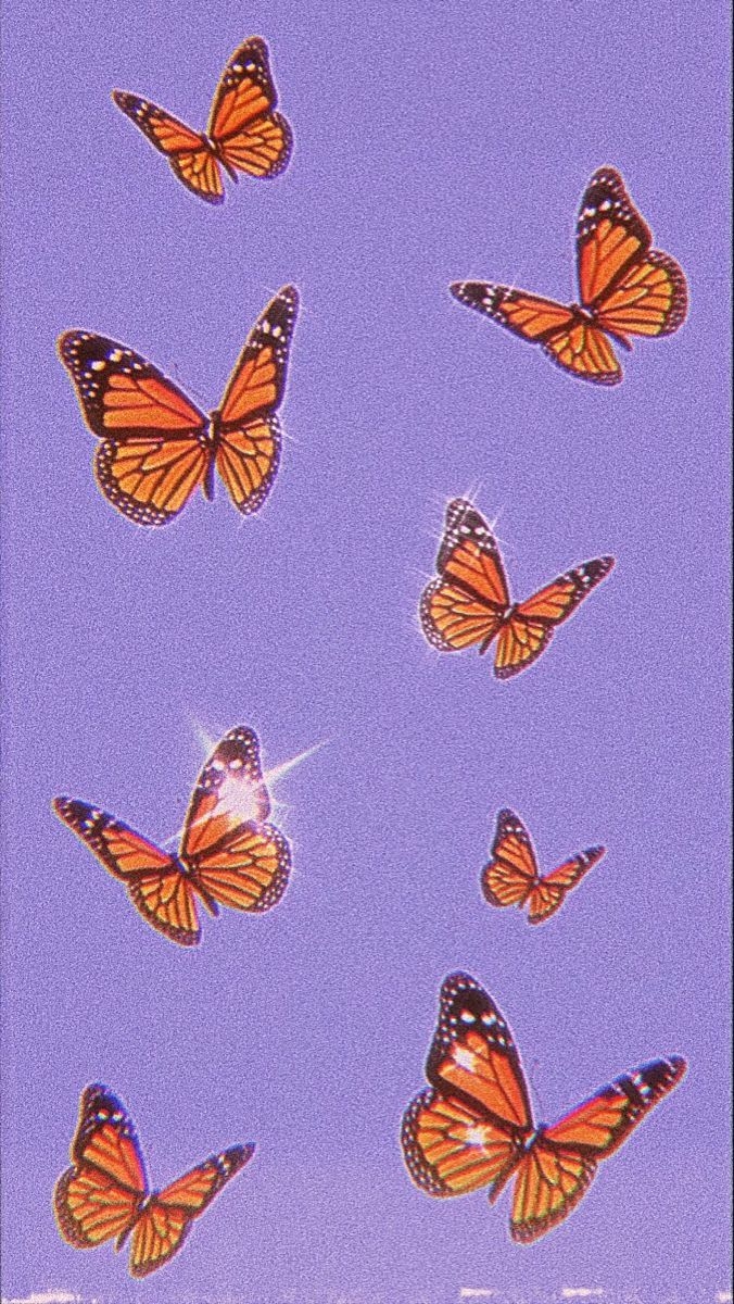 680x1200 Single Butterfly Wallpaper Aesthetic, Phone