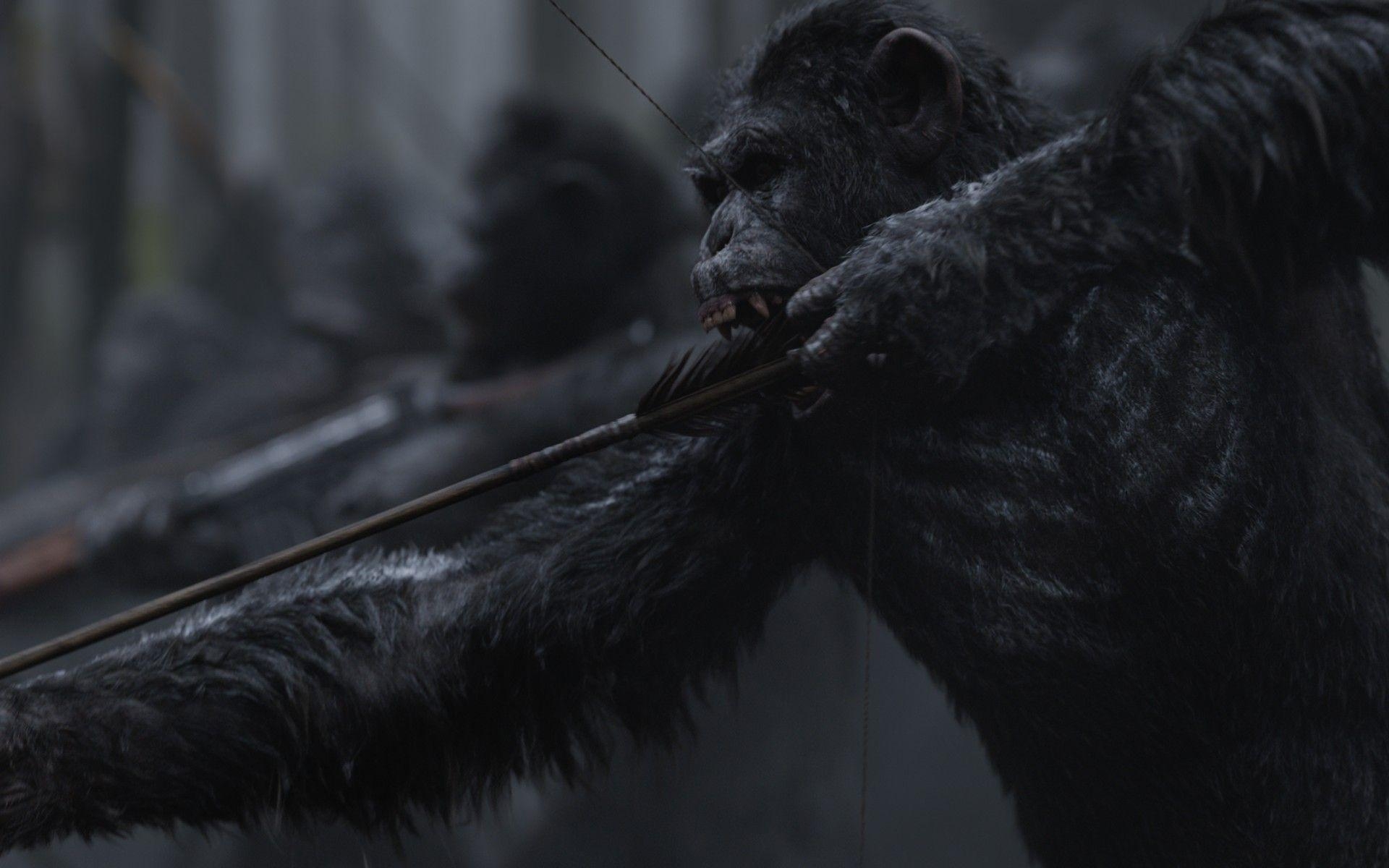 1920x1200 Wallpaper War for the Planet of the Apes, Caesar, 4K, Movies, Desktop