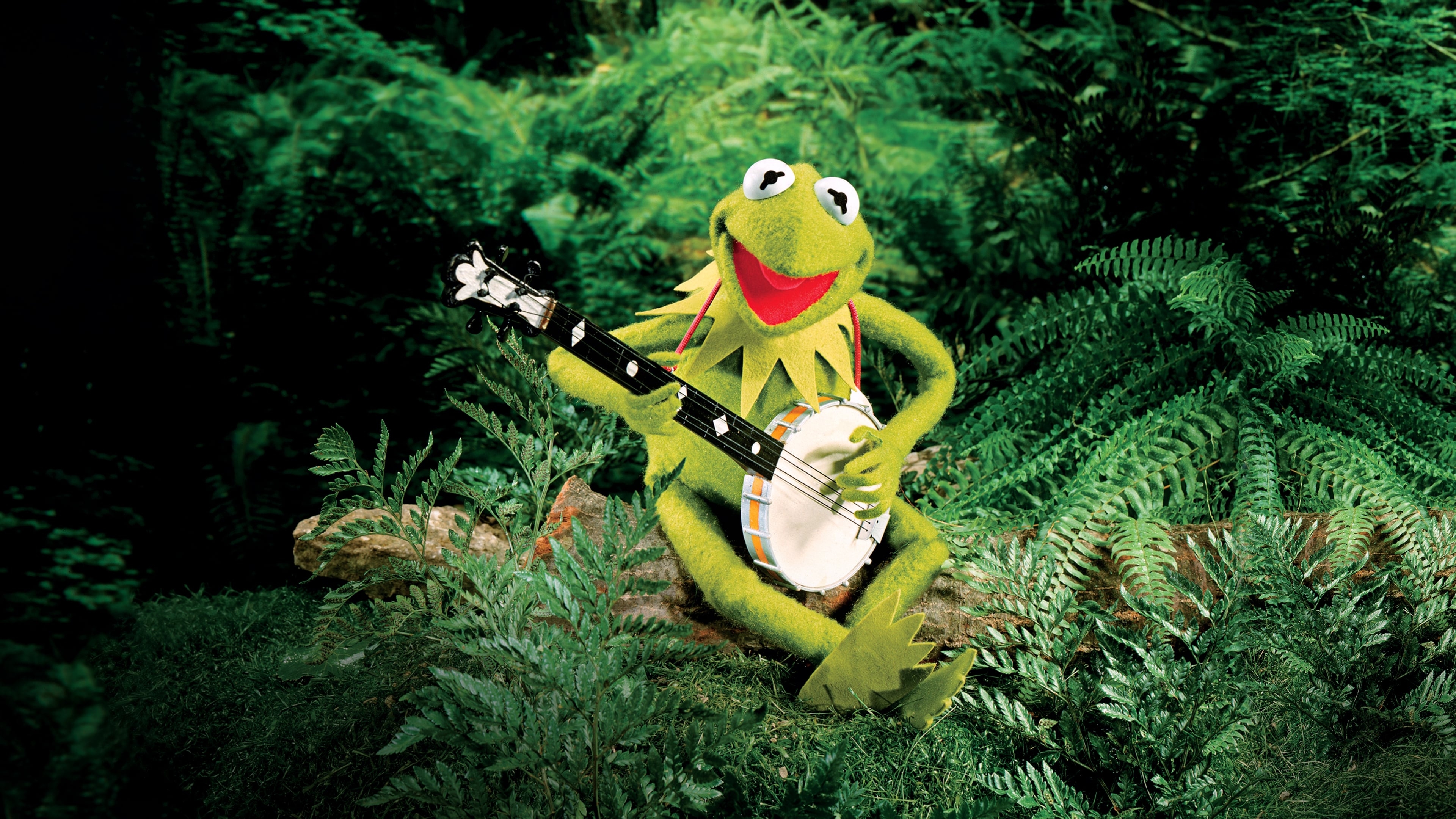 3840x2160 Kermit the Frog HD Wallpaper and Background, Desktop