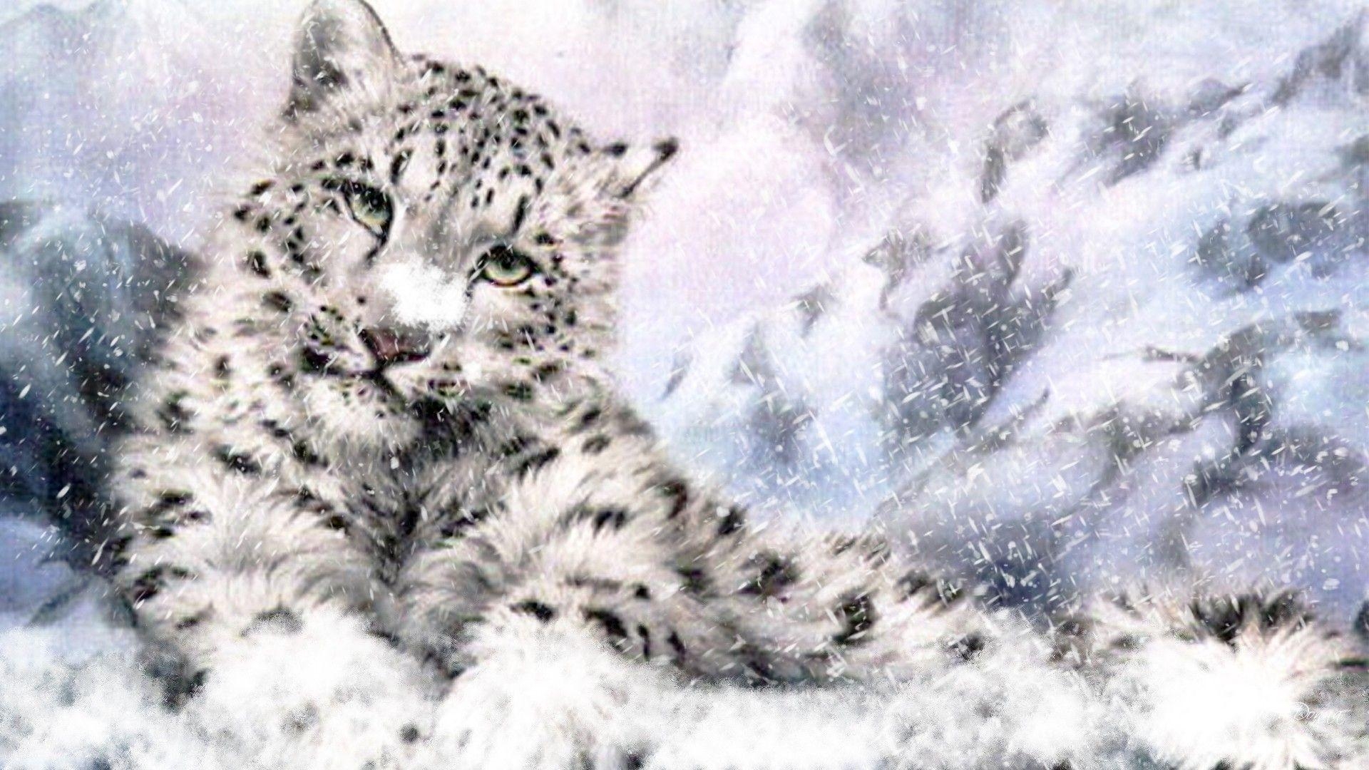 1920x1080 Wallpaper Of Snow Leopard. Animal Jam Clans, Desktop