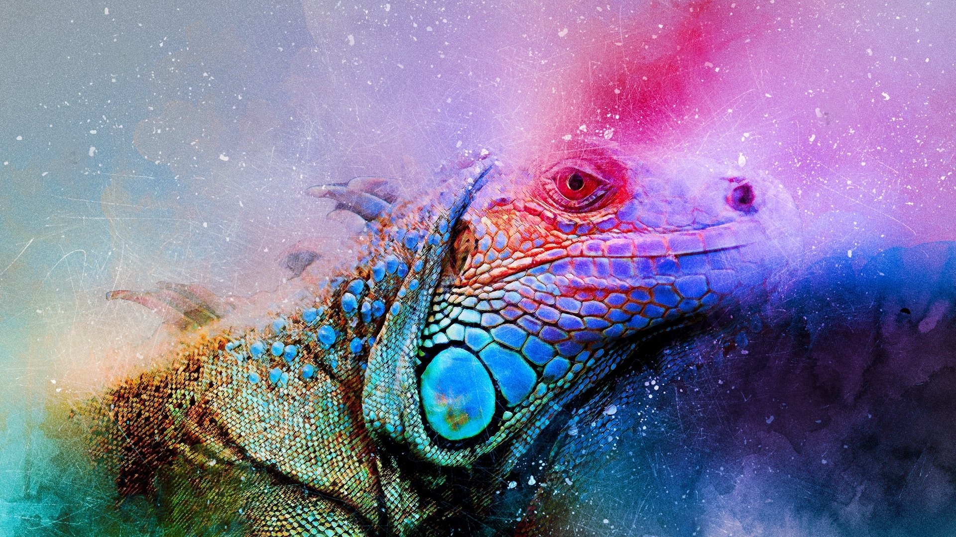 1920x1080 Download wallpaper  iguana, reptile, art, colorful full HD, Desktop