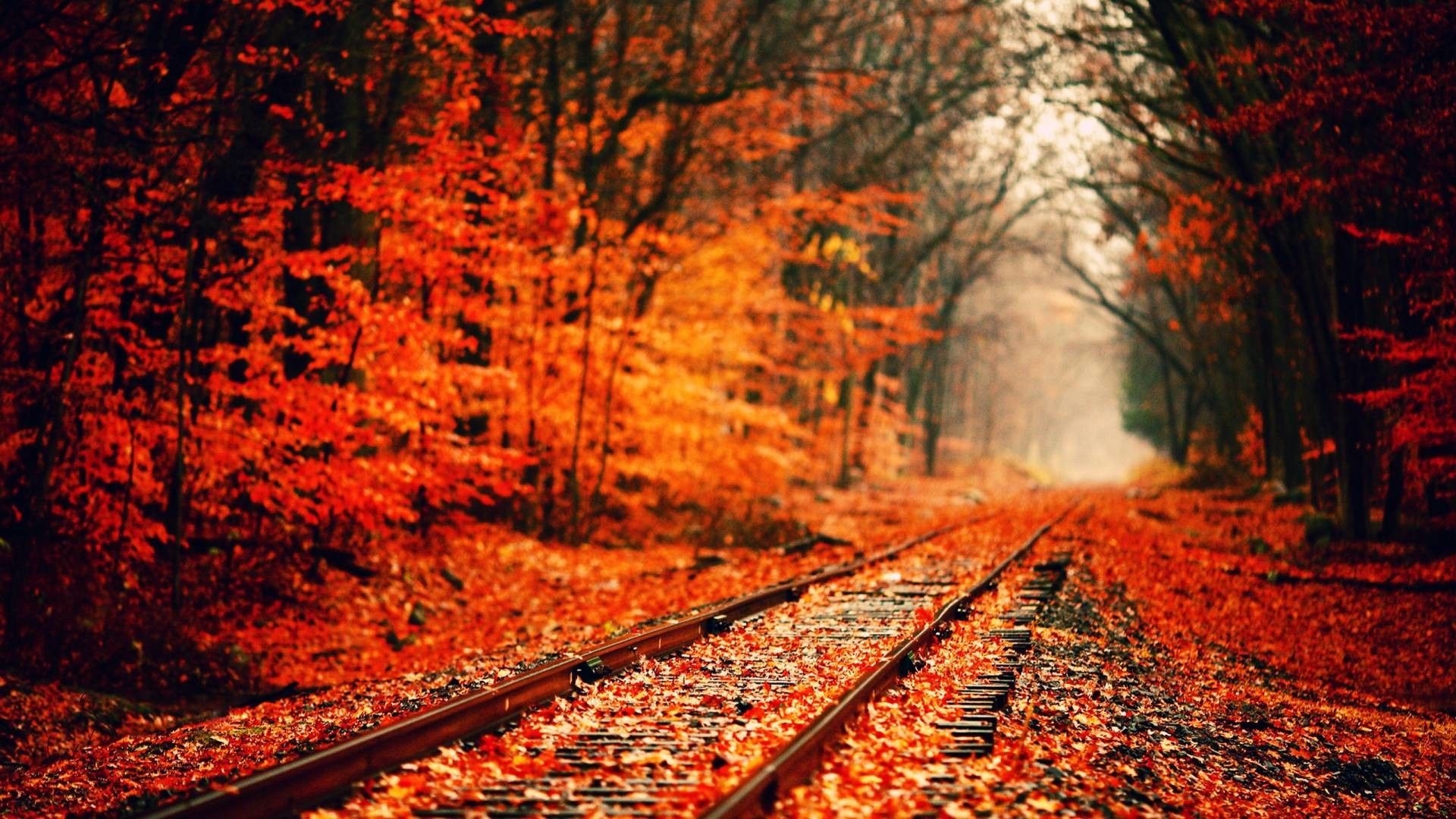 1920x1080 1920×1080 HD Autumn, Desktop