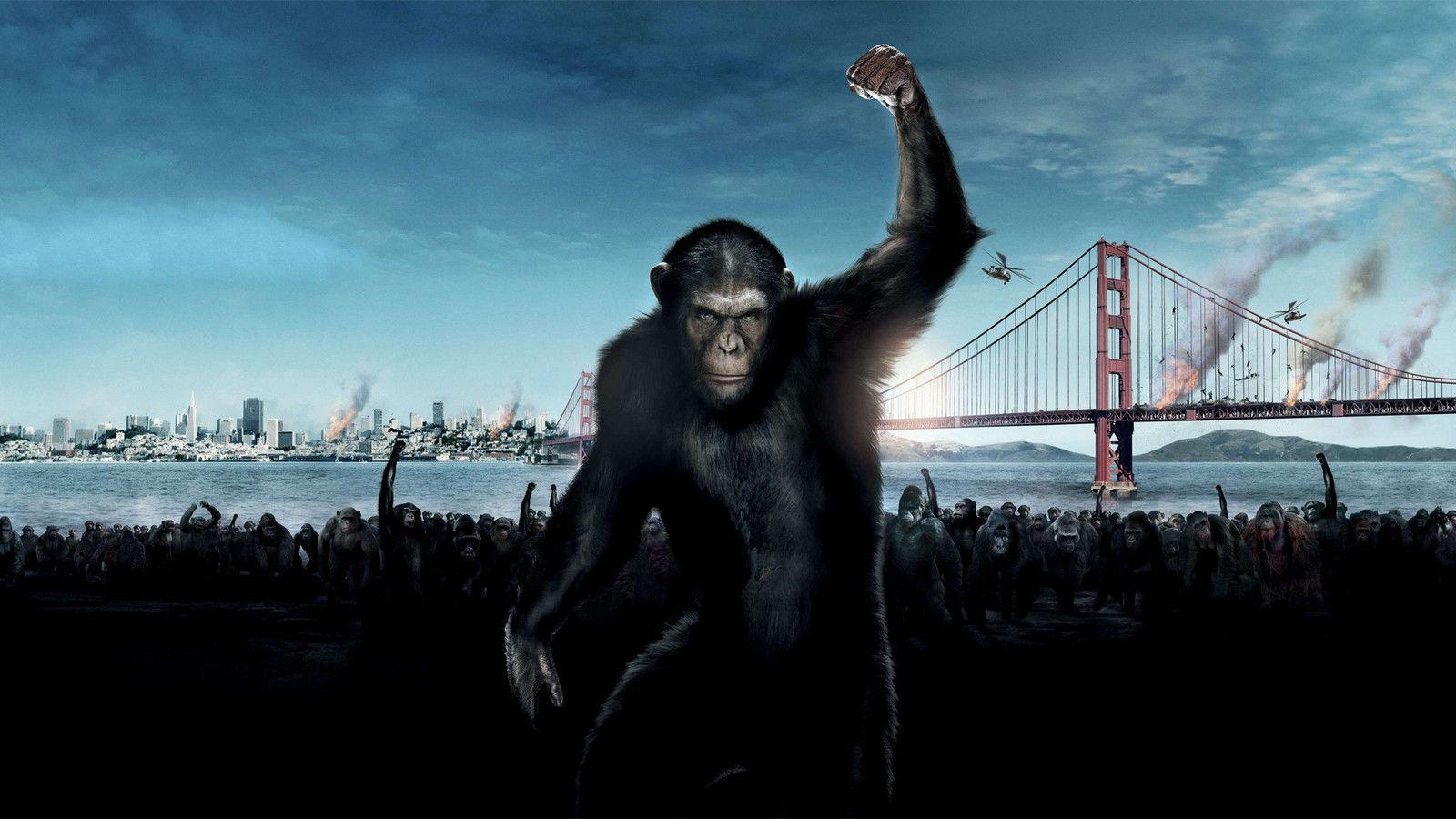 1600x900 Rise of the Planet of the Apes (2011) News, Desktop