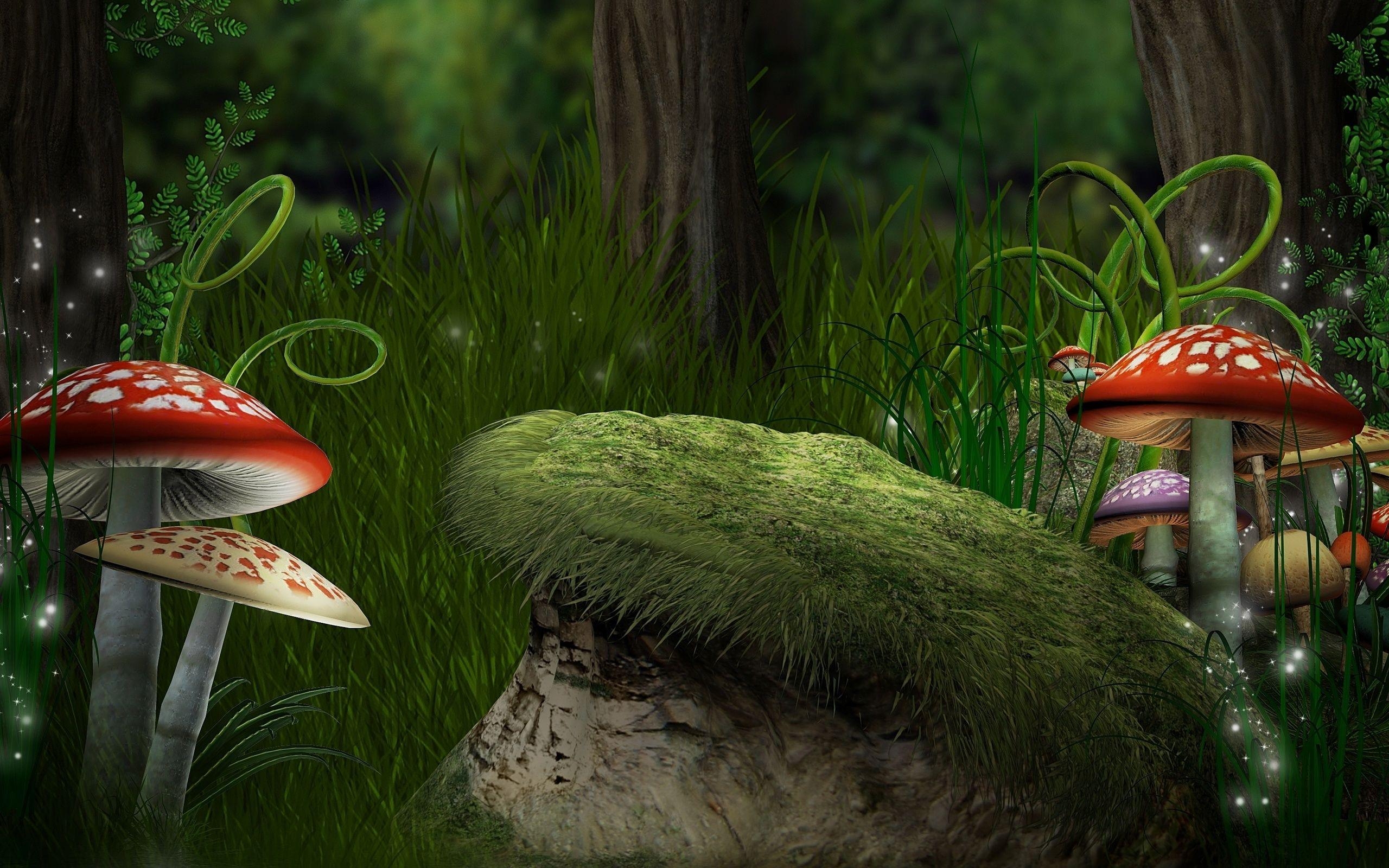 2560x1600 Forest, Forest, Mushroom, Mushrooms, Grass, Amanita, Ferns, Desktop