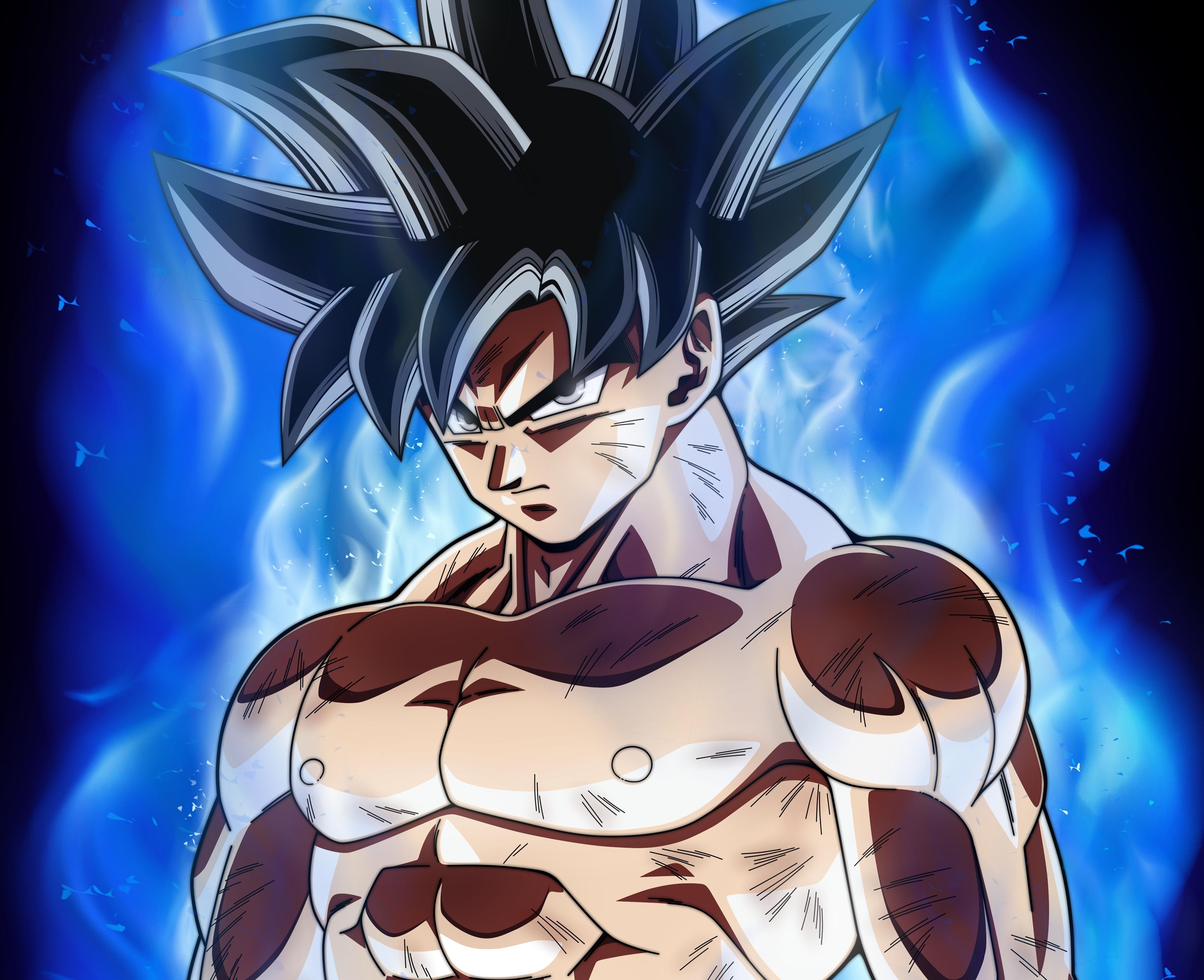 4300x3500 Goku Super Ultra Instinct Dragon Ball Anime Wallpaper, Desktop