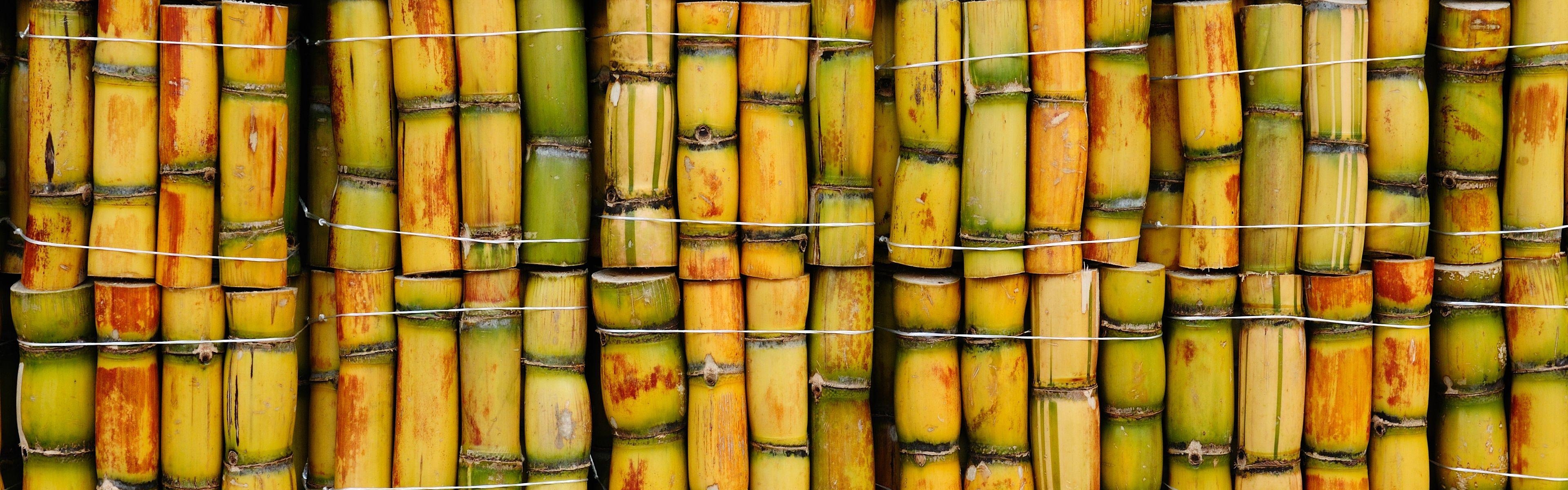 3840x1200 Wallpaper Sugar cane, bamboo background 3840x2160 UHD 4K Picture, Image, Dual Screen