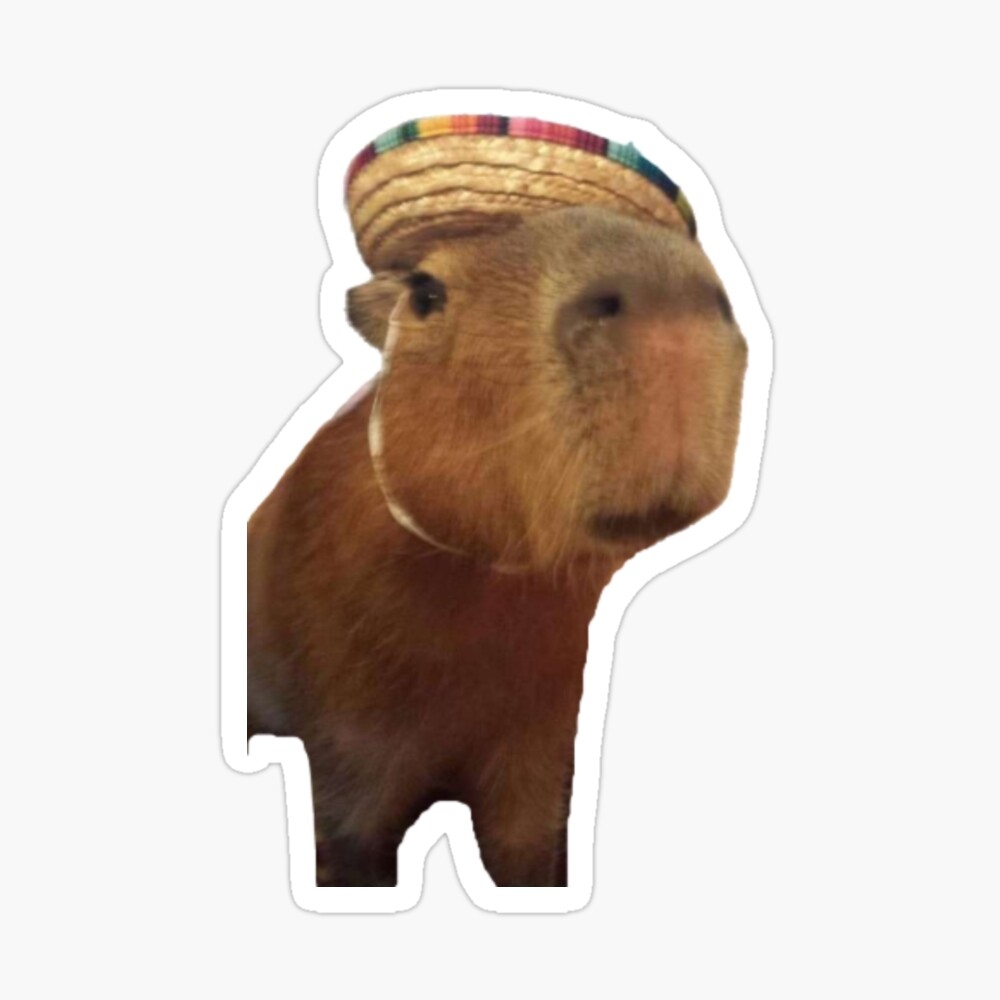 1000x1000 Meme Mexican Capybara Poster, Phone