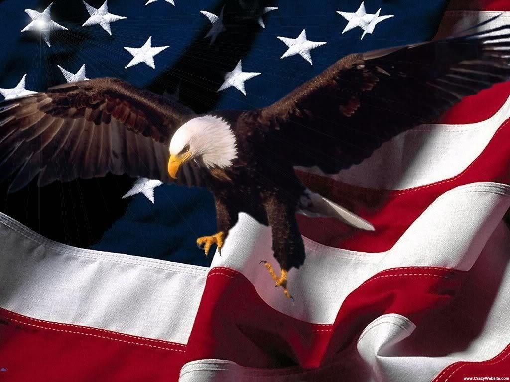 1030x770 picture of eagles with american flag. Eagle and American flag, Desktop