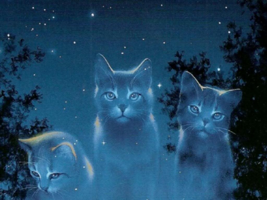 1030x770 Download warrior cats wallpaper, Desktop