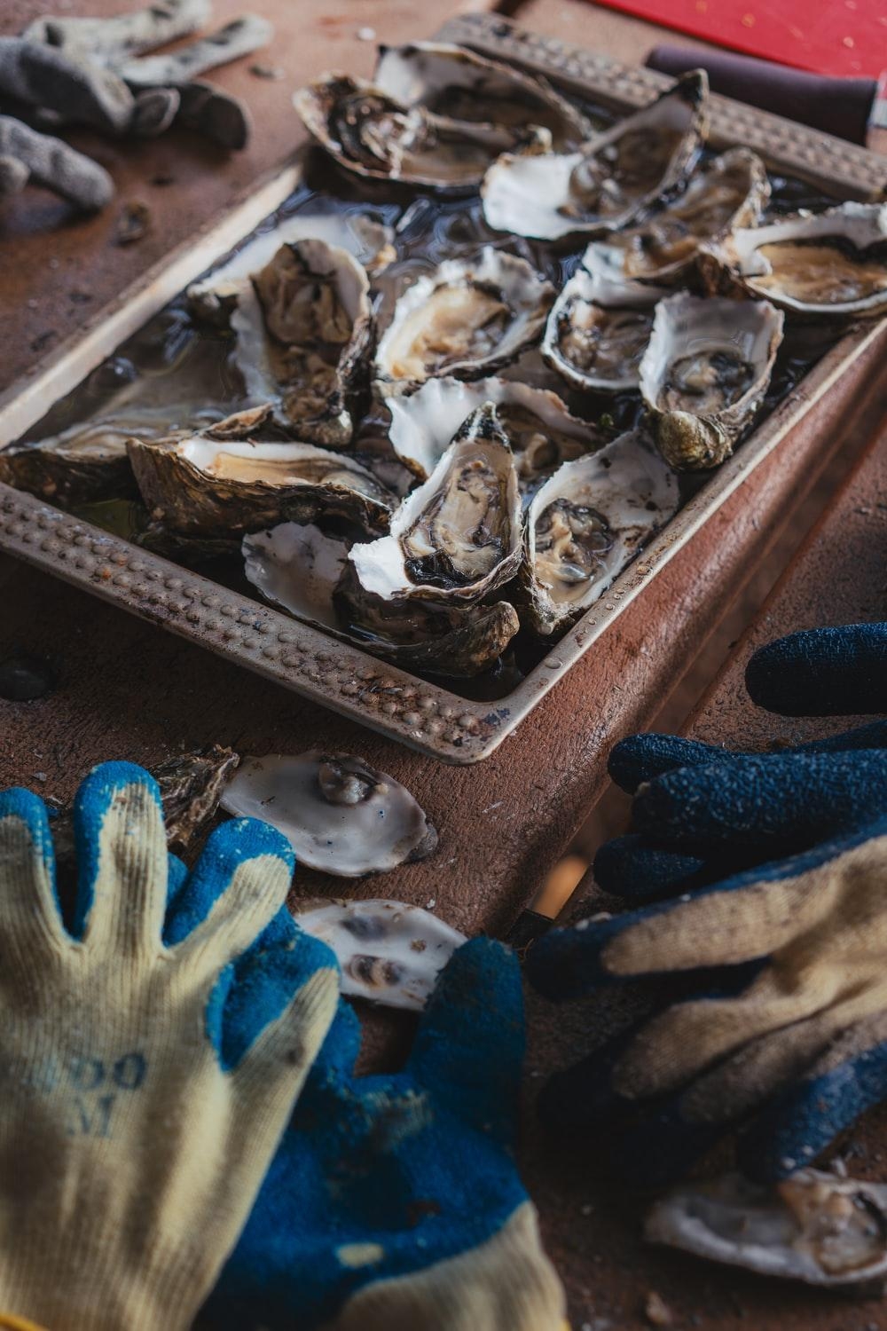 1000x1500 shallow focus photography of oysters on bowl photo, Phone