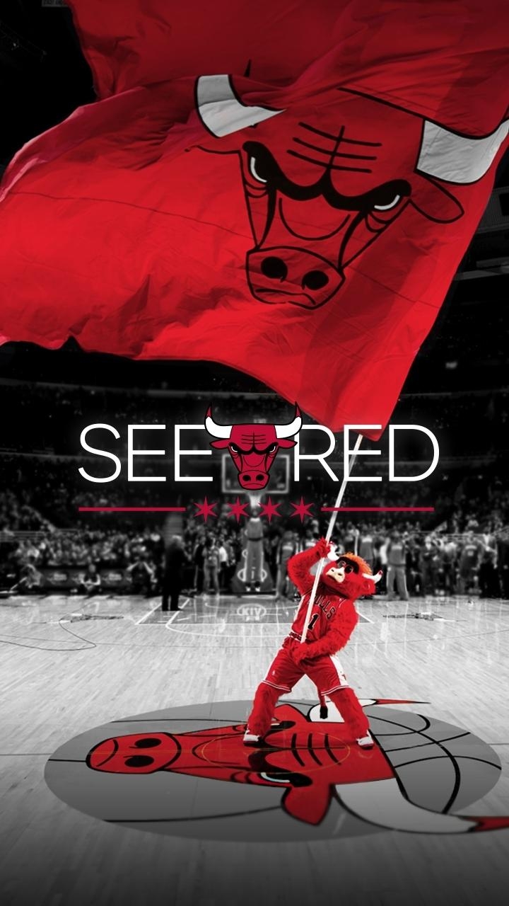 720x1280 Latest Chicago Bulls Wallpaper For Android Full HD Bulls, Phone