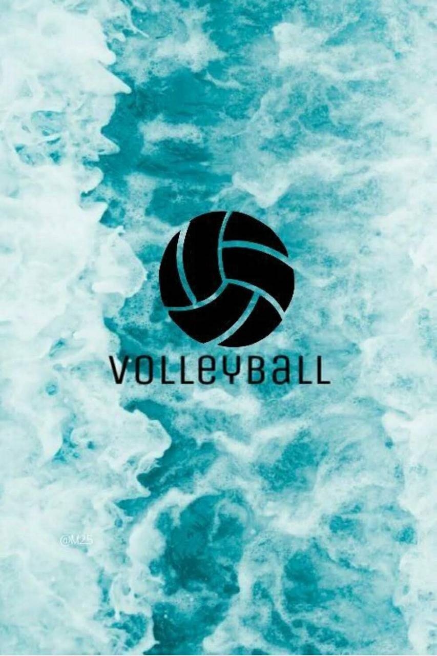 860x1280 Android Volleyball Wallpaper Free HD Wallpaper, Phone