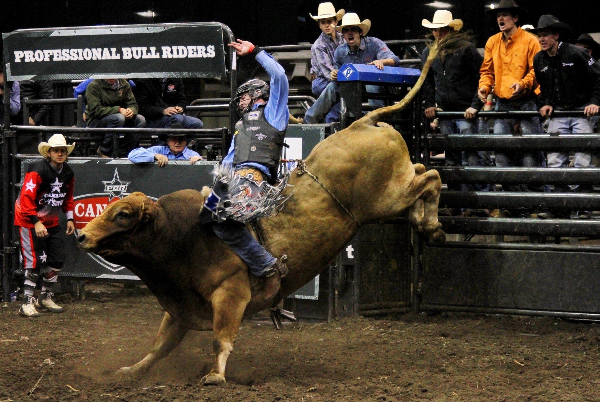 2090x1400 Full HD Rodeo Wallpaper Archives (43), Desktop