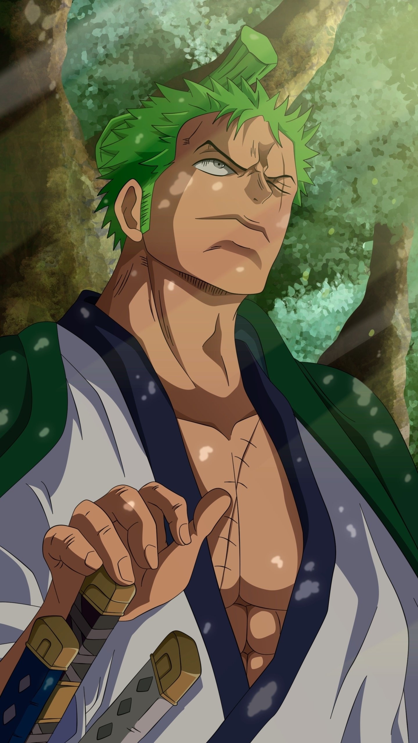 1440x2560 Wallpaper / Anime One Piece Phone Wallpaper, Roronoa Zoro,  free download, Phone