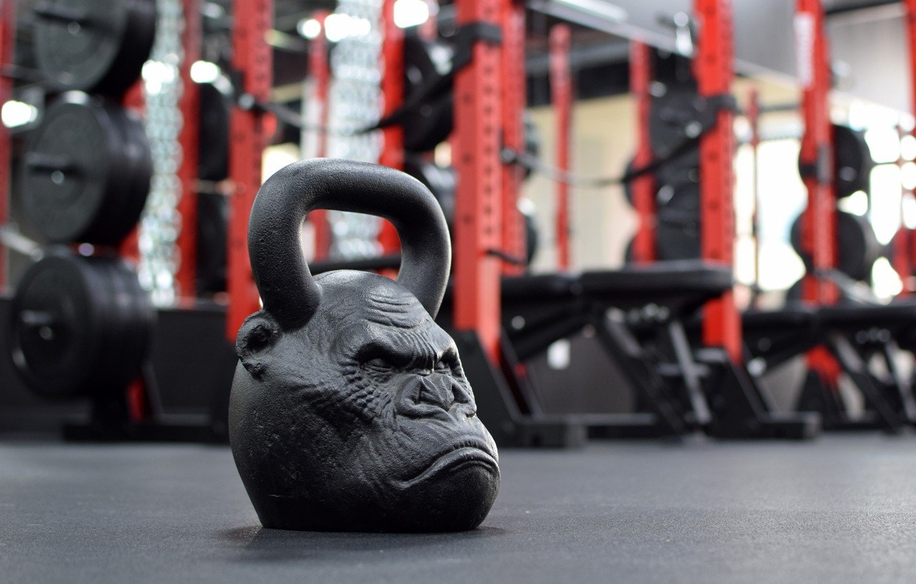 1340x850 Wallpaper monkey, weight, gym image for desktop, section спорт, Desktop