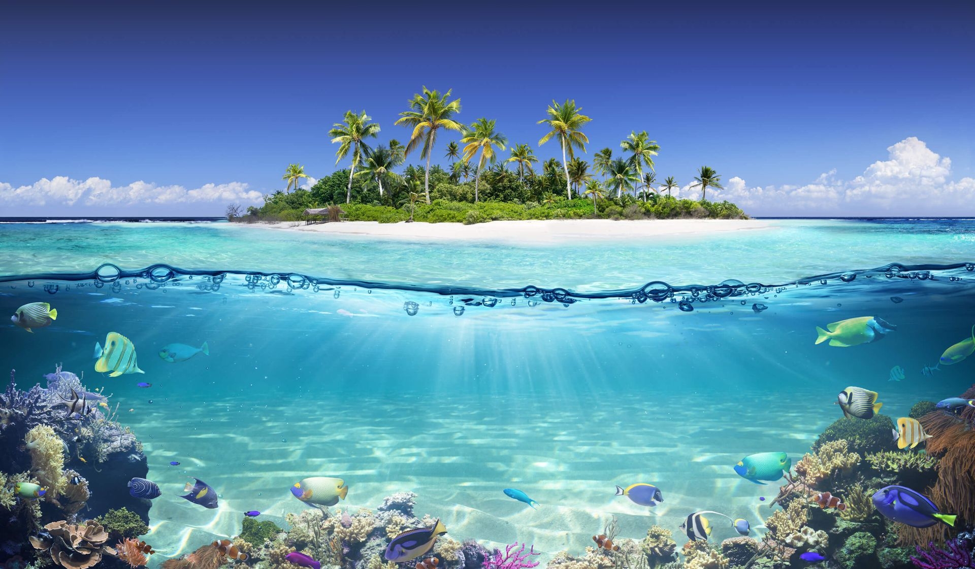 1920x1130 Tropical island and coral reef, Desktop