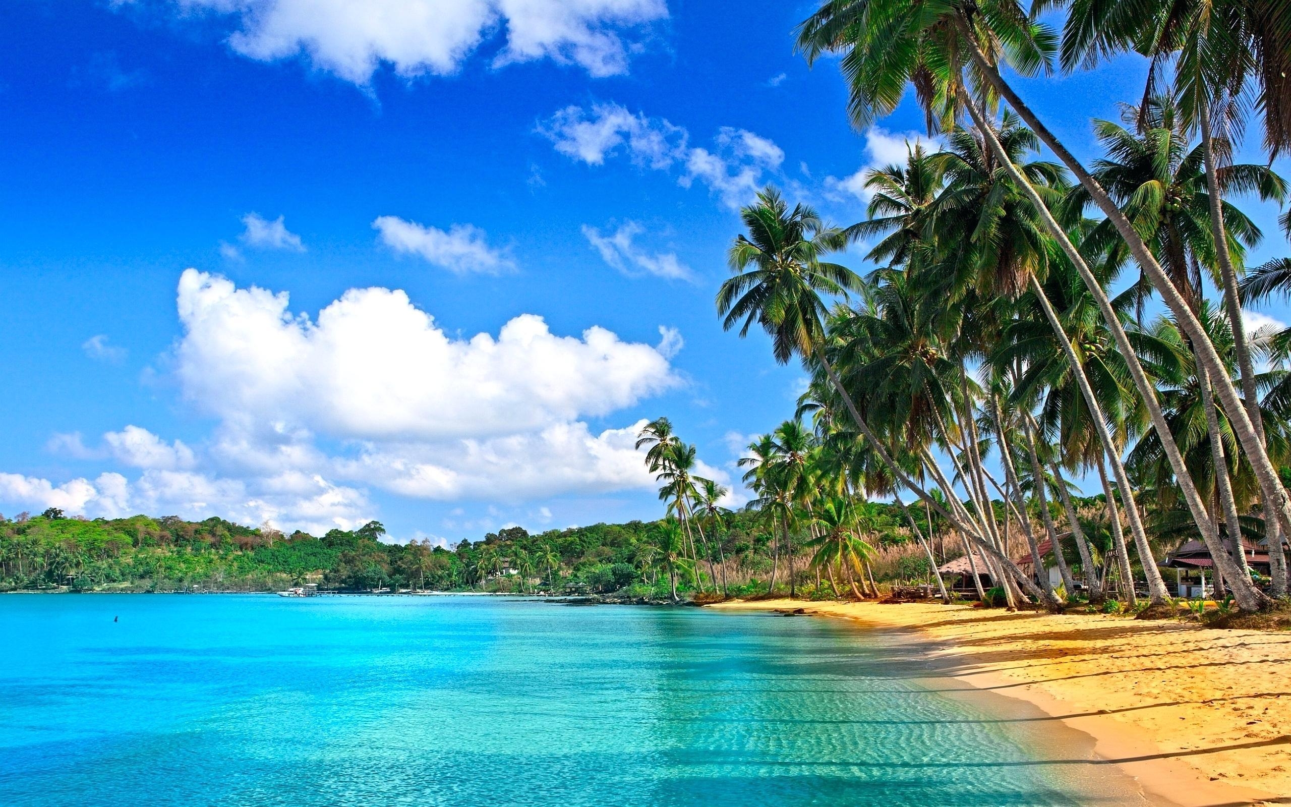 2560x1600 Tropical Scenes Wallpaper Beach Wallpaper, Desktop