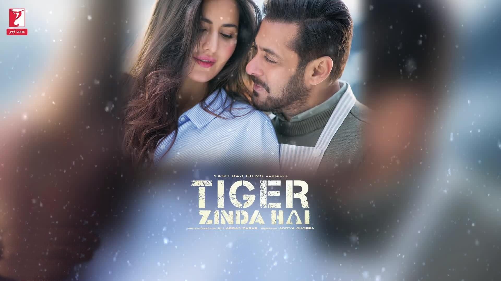 1920x1080 Beautiful Salman Khan Katrina Kaif Tiger Zinda Hai Wallpaper, Desktop