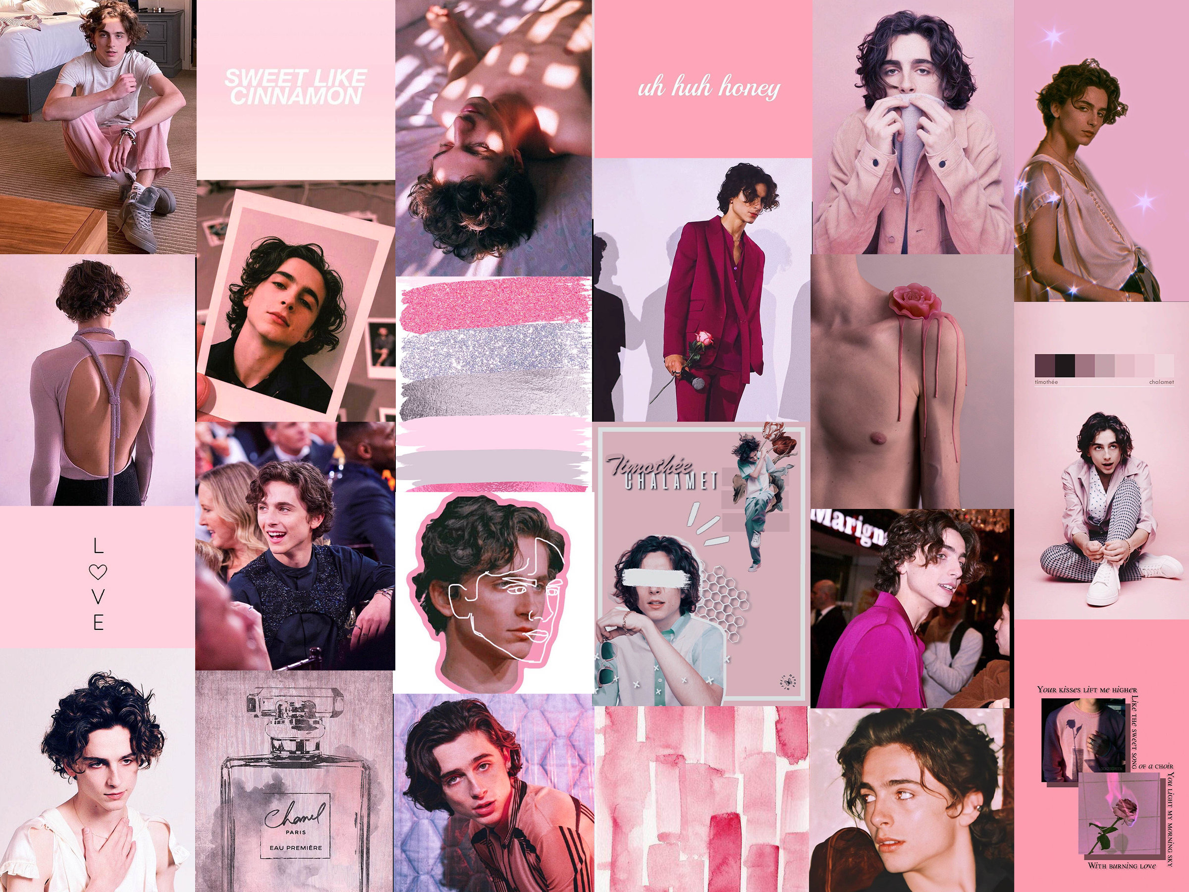 2400x1800 52pcs Timothée Chalamet Pink DIGITAL Wall Collage Kit, Desktop