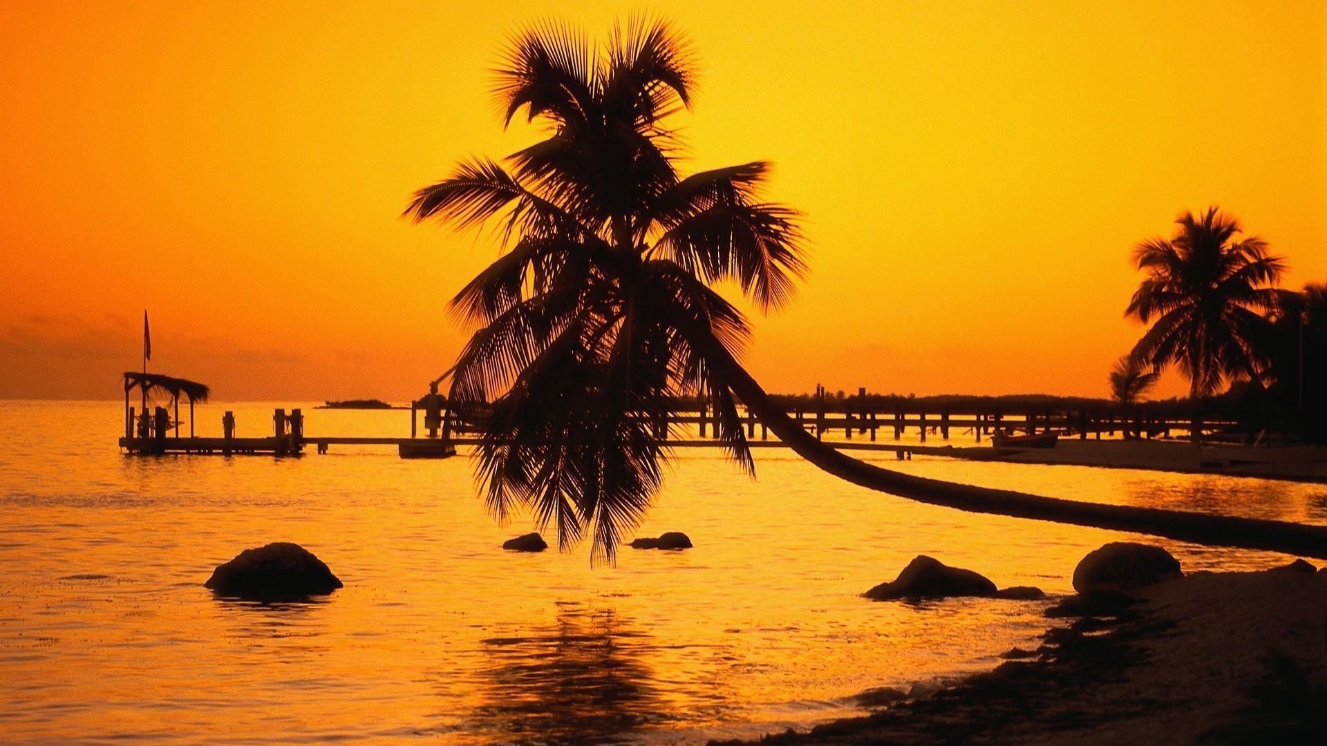 1920x1080 Florida keys nature silhouettes sunset wallpaper, Desktop