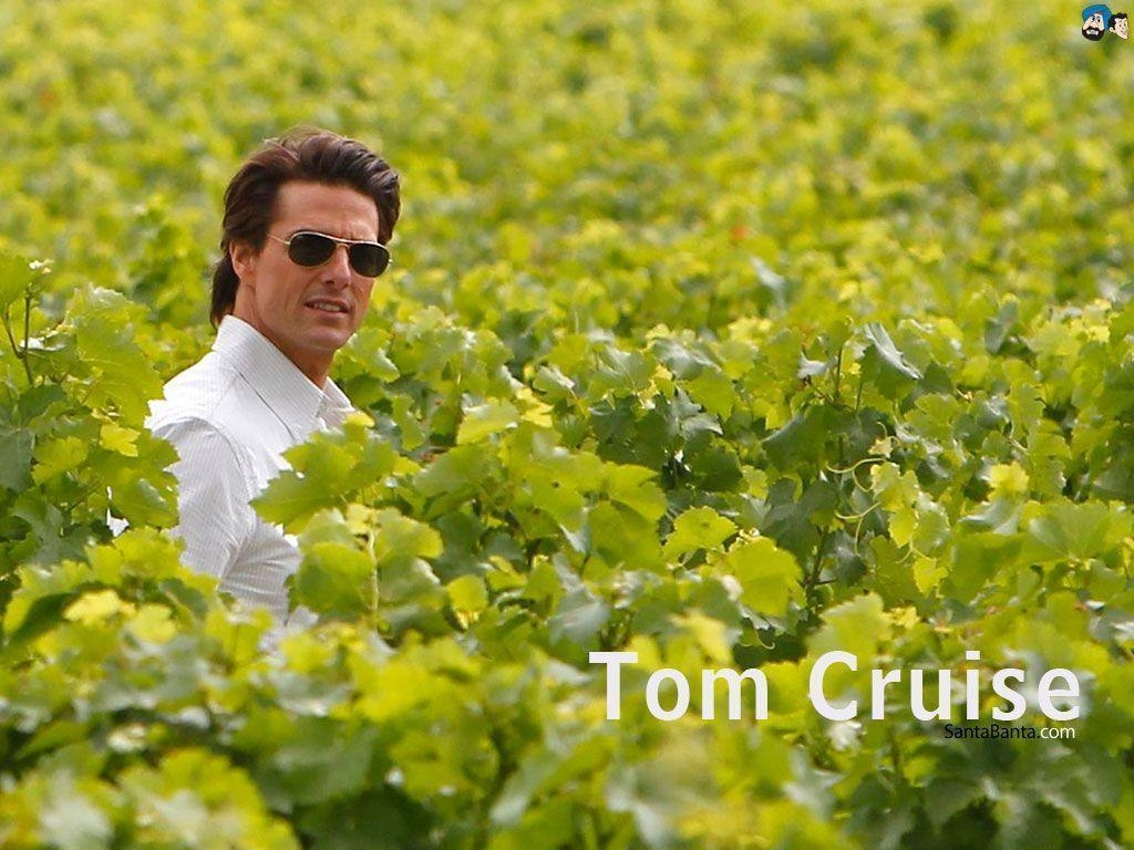 1030x770 Tom Cruise Wallpaper, Desktop