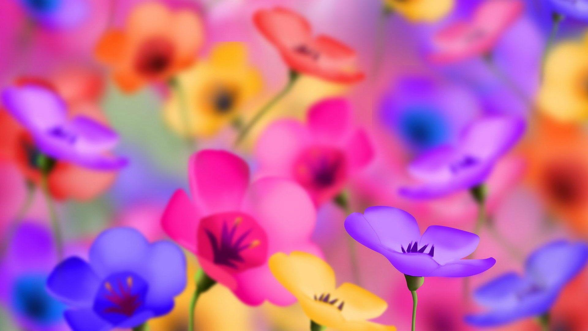 1920x1080 hd pics photo flowers colorful bright desktop background, Desktop