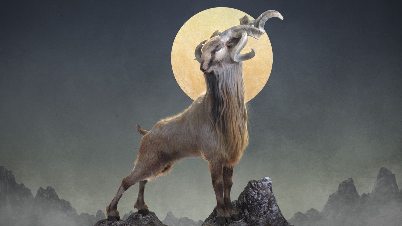 1600x900 Markhor Wallpaper Free Markhor Background, Desktop