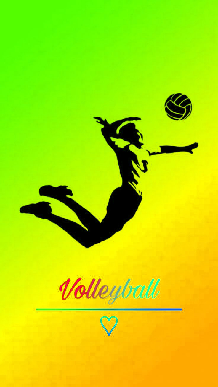 740x1310 Volleyball Background Wallpaper, Phone