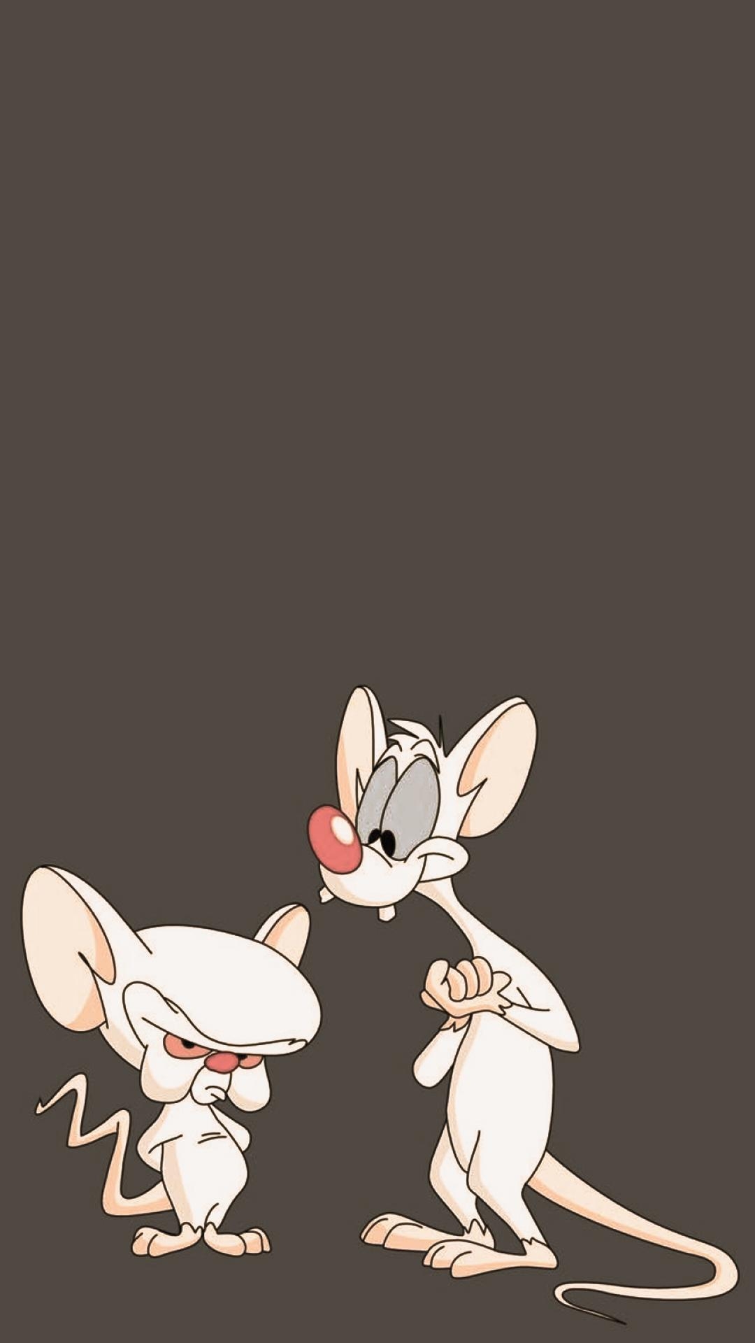 1080x1920 Free HD Pinky and the Brain Phone Wallpaper.4485, Phone