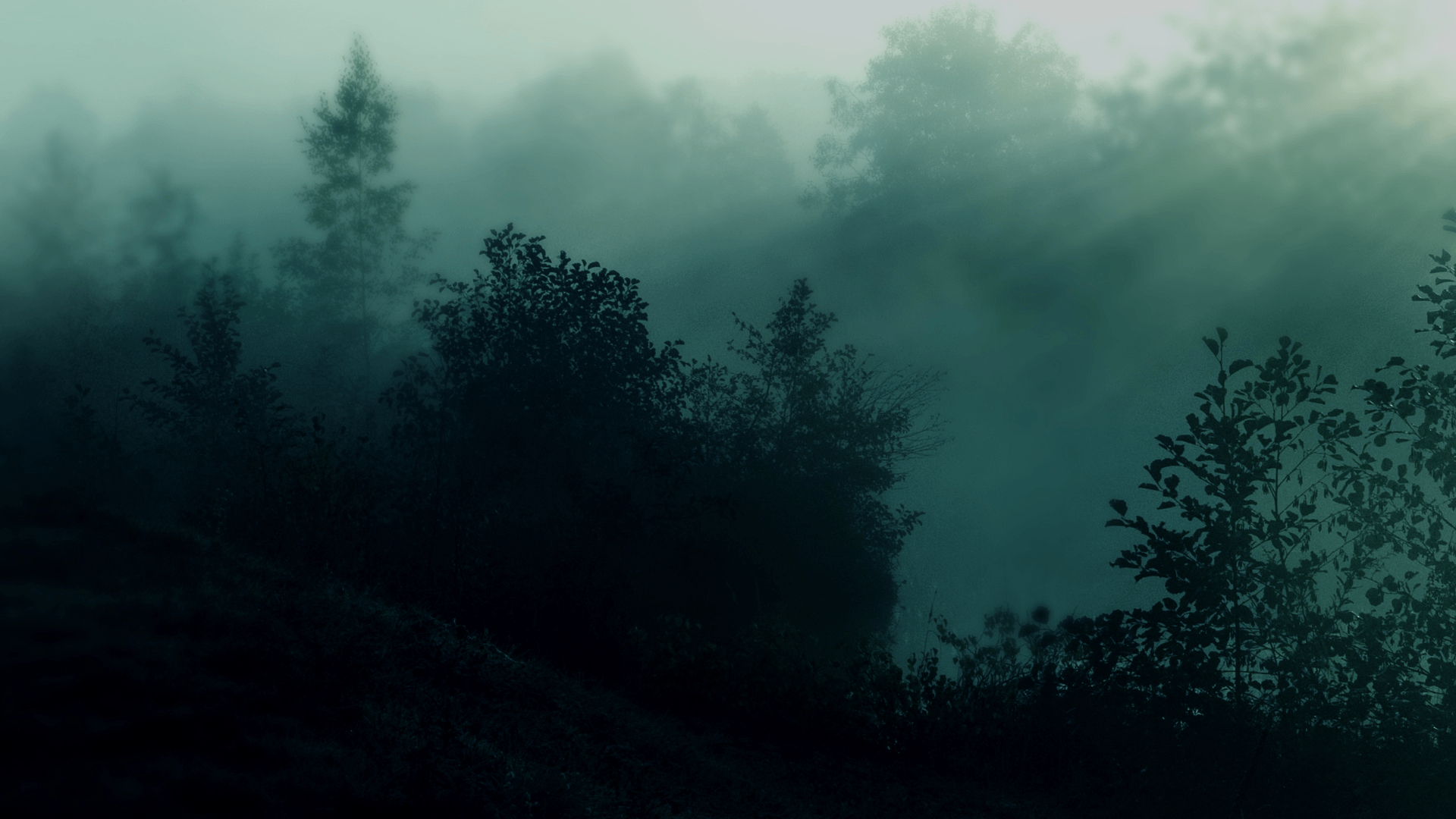 1920x1080 Desktop Dark Green Aesthetic Wallpaper, Desktop