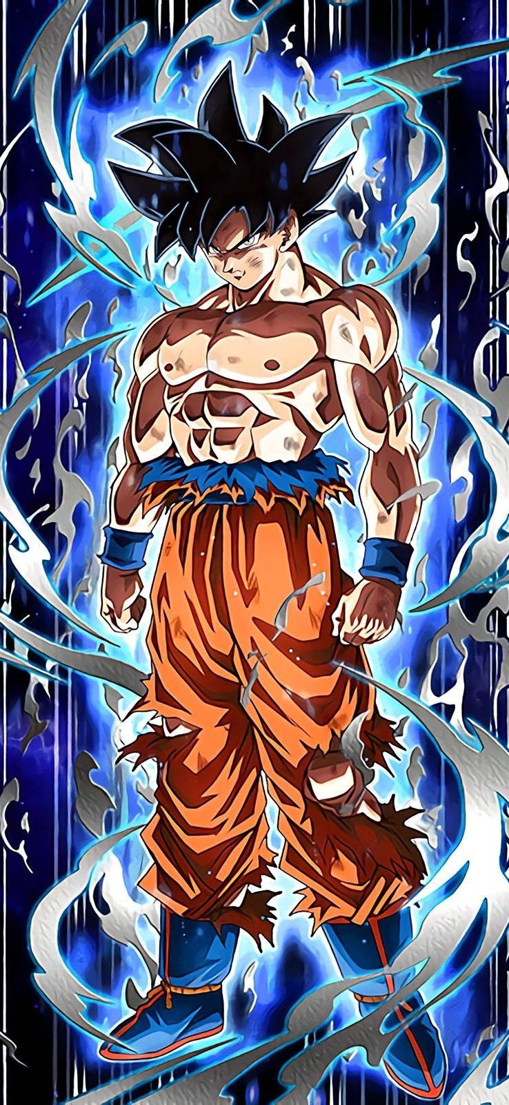 740x1600 Goku Ultra Instinct Wallpaper Download, Phone