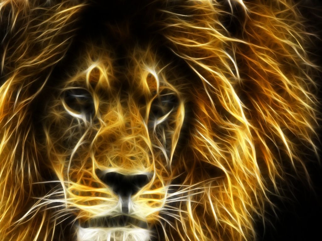 1030x770 Amazing Lion Wallpaper Free Amazing Lion Background, Desktop