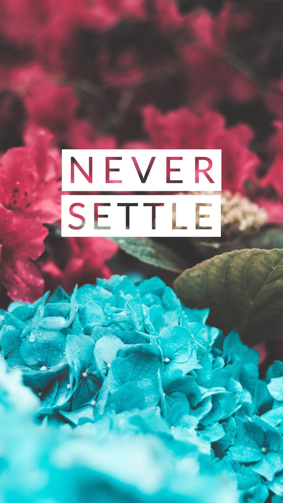 1080x1920 Never Settle Wallpaper Collection, Phone